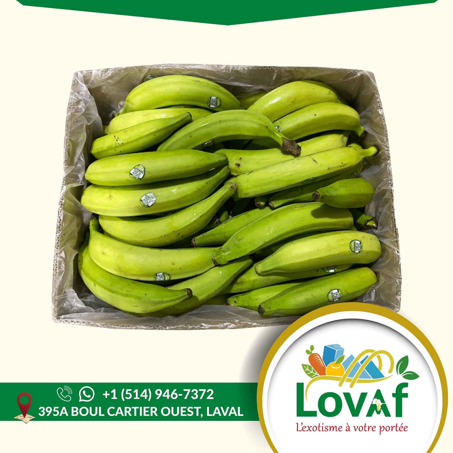 Banane plantain - Distribution LovAf