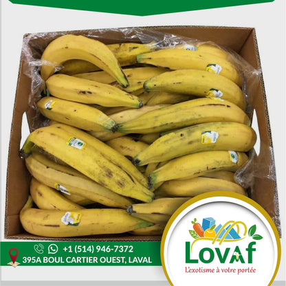 Banane plantain - Distribution LovAf