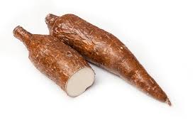 Manioc en tubercule